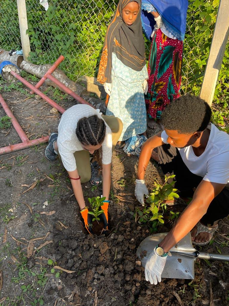 Environmental Cleanups